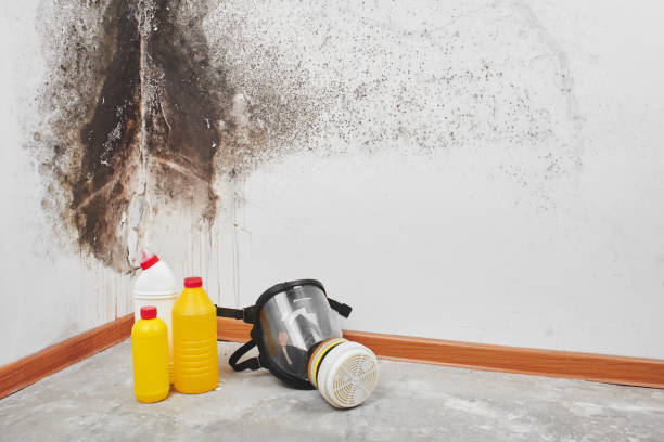 Best HVAC Mold Remediation in Sharon, WI