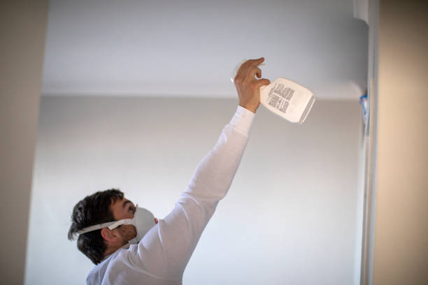 Best Crawl Space Mold Remediation in Sharon, WI