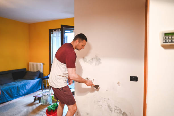 Best Post-Flood Mold Remediation in Sharon, WI