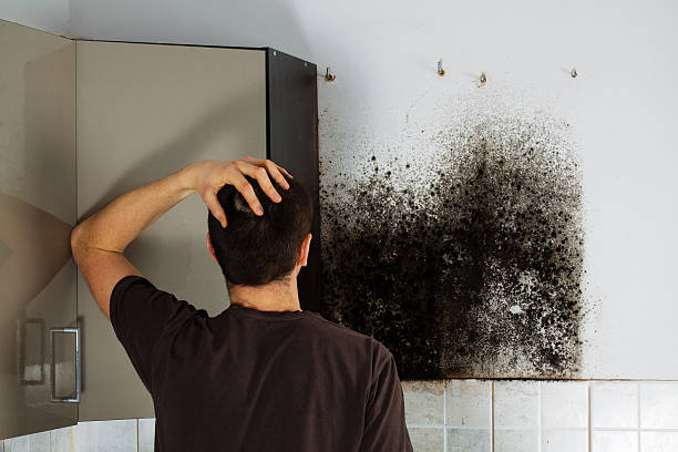 Best Bathroom Mold Remediation in Sharon, WI